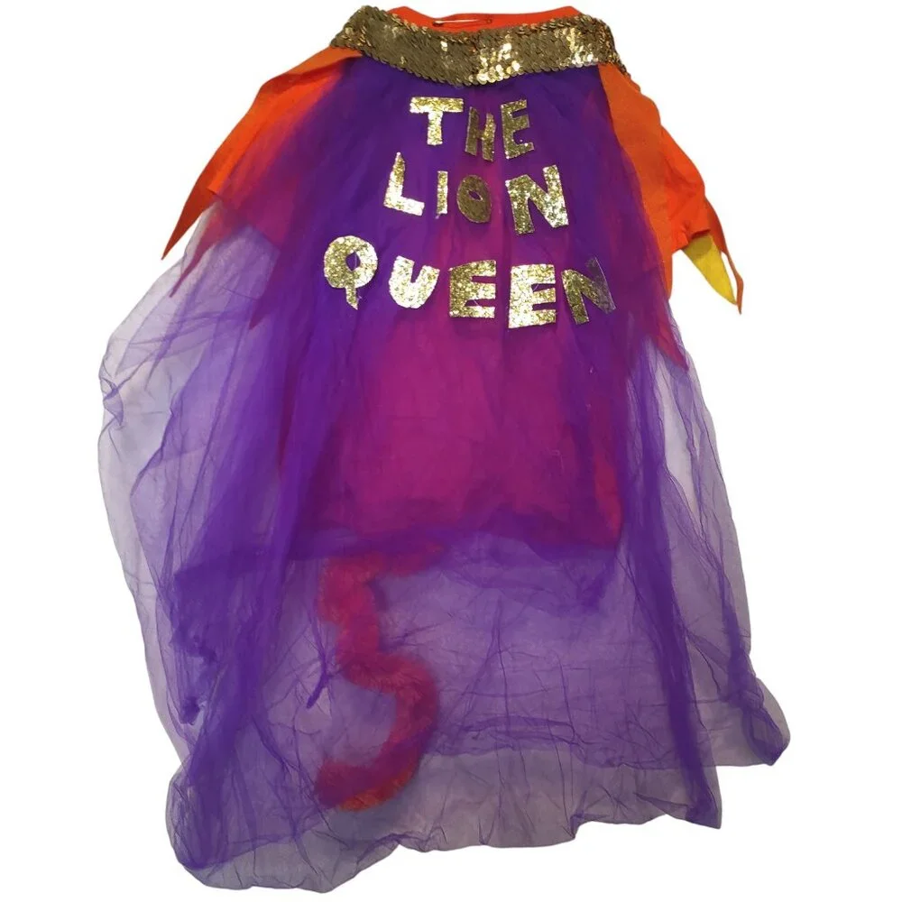 Handmade/Homemade Lion King Girl's Costume Shirt 